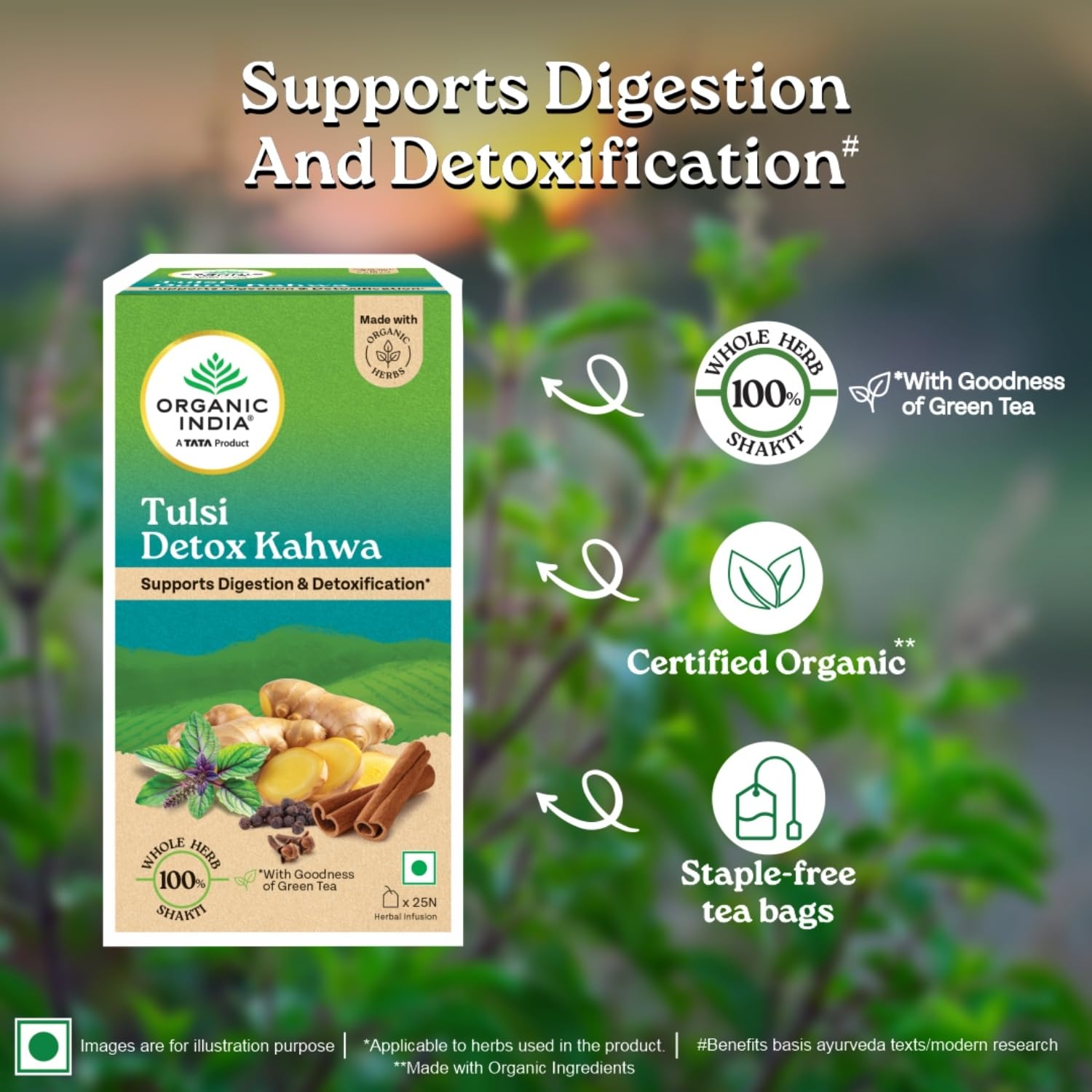 Organic India Tulsi Detox Kahwa - 25 Tea Bags, Helps Improve Digestion & Detoxification, Rich in Antioxidants
