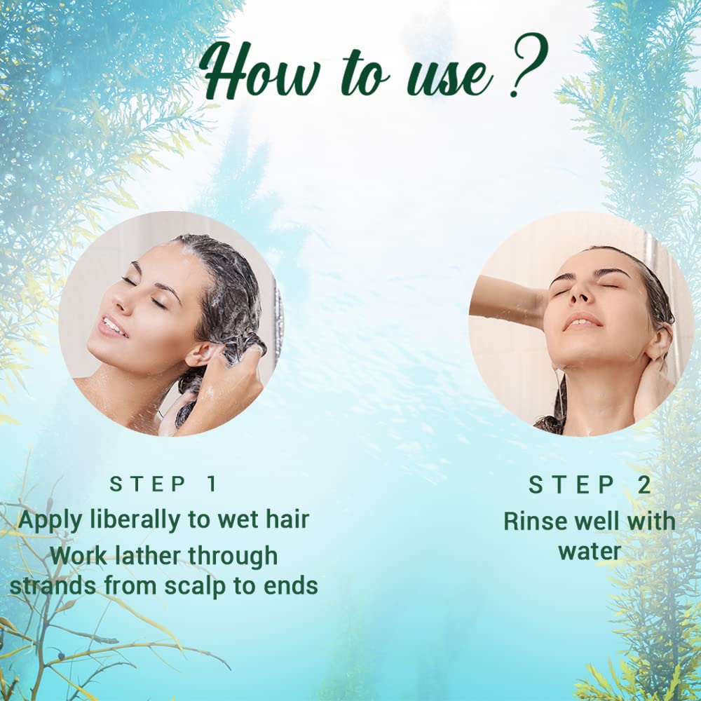 Biotique Ocean Kelp Anti Hairfall Shampoo | Intensive Hair Growth Therapy| Anti Hairfall Shampoo that Maintains Shine | 340ml