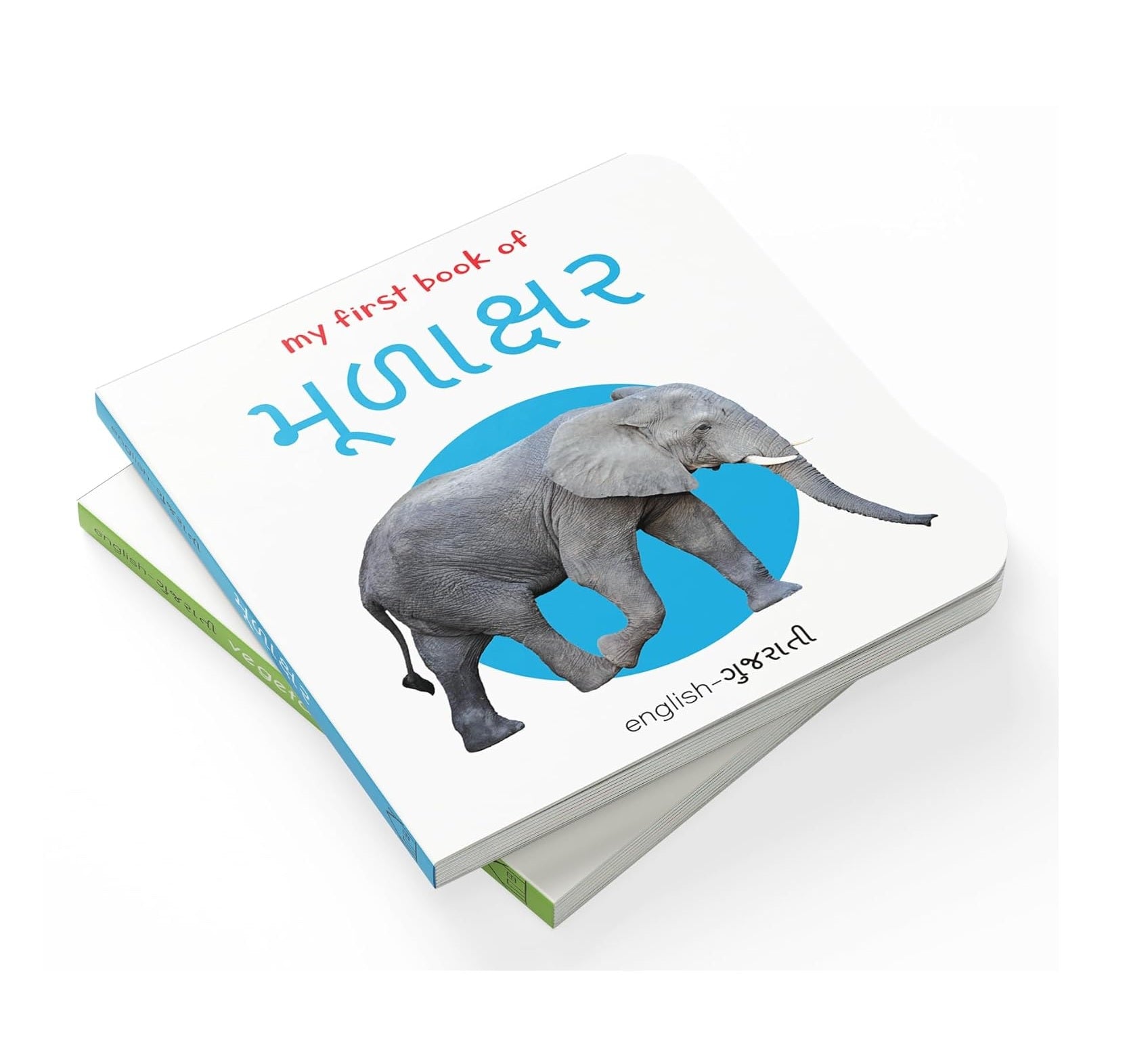 My First English-Gujarati Learning Library (Boxed Set) Hardcover  Books