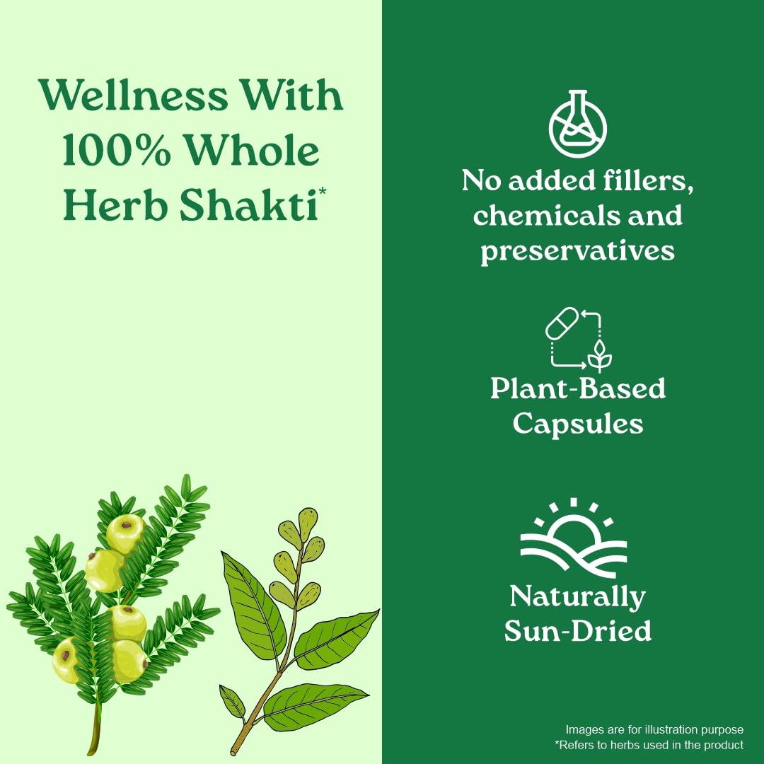 Organic India Triphala Veg 60 Capsule | Eases Constipation & Supports Digestion