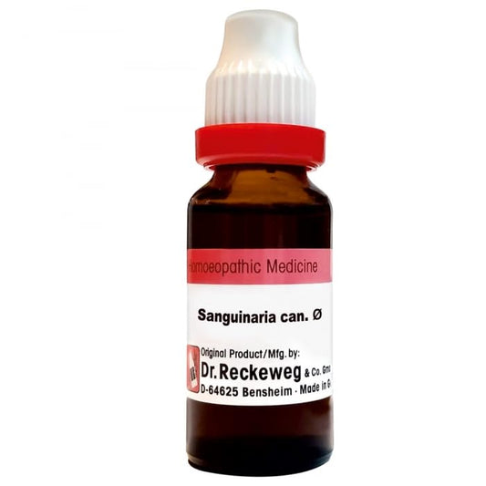 Dr. Reckeweg Sanguinaria Can Mother Tincture Q - 20 ml