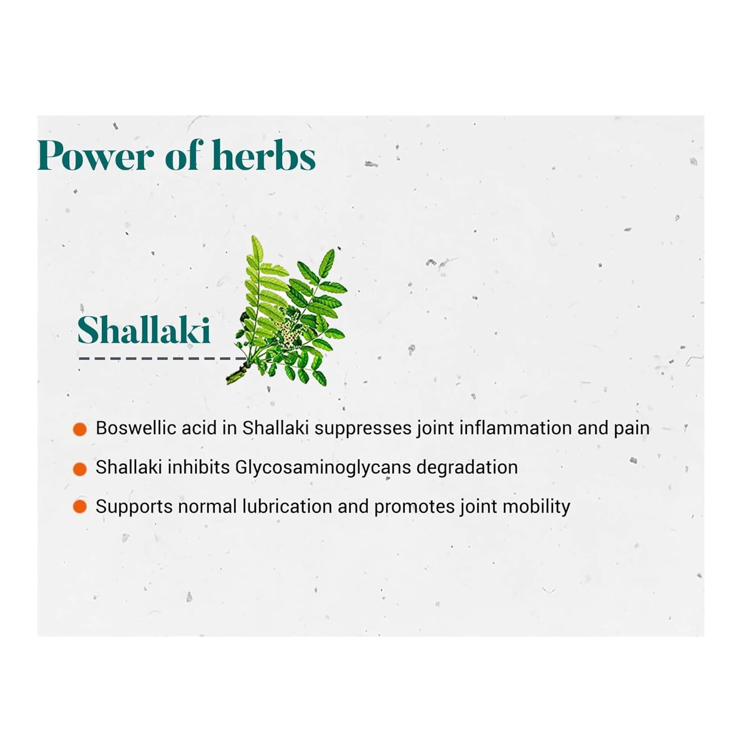 Himalaya Herbals Wellness Shallaki Tablets - 60 tabs