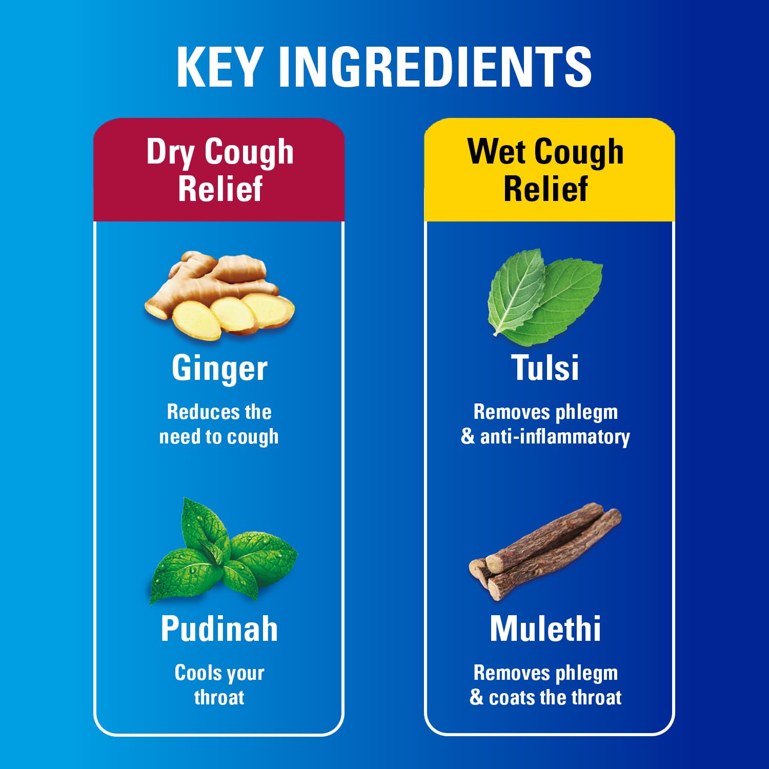 Vicks Cough Syrup, 100ml Bottle
