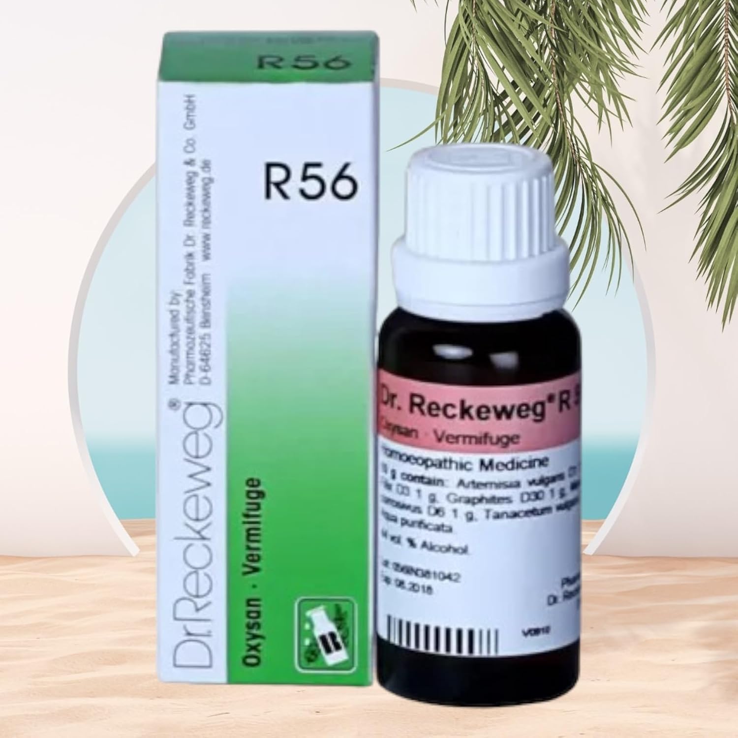 Dr Reckeweg R 56 Drops Homeopathic 22 ml for relieving infection digestive system