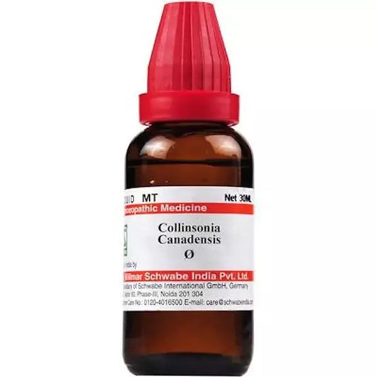 Dr Willmar Schwabe India Collinsonia Canadensis Mother Tincture (Q) (30ml) for heart diseases swelling constipation piles