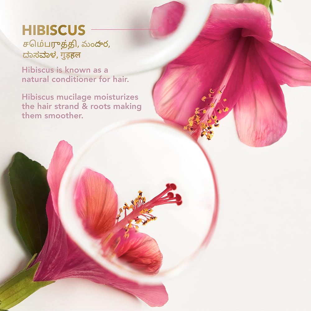 Clinic Plus Strength & Smooth Shampoo, Fenugreek Protein + Hibiscus for Hair Strengthening and Smoother Hair, 650 ml