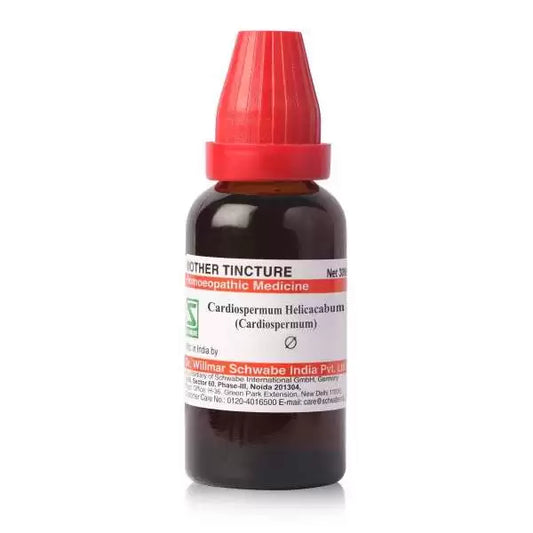 Dr Willmar Schwabe India Cardiospermum Halicacabum Mother Tincture 1X (Q) (30ml) for headache skin disorders constipation