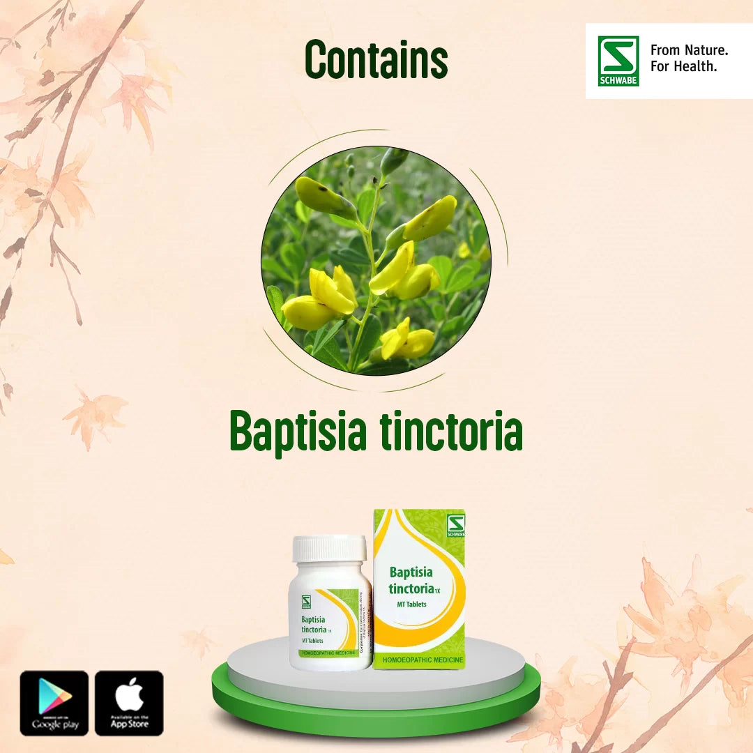 Dr Willmar Schwabe India Homoeopathic Baptisia Tinctoria 1X MT Tablets (20gm) for Fever Indigestion Acidity Gas