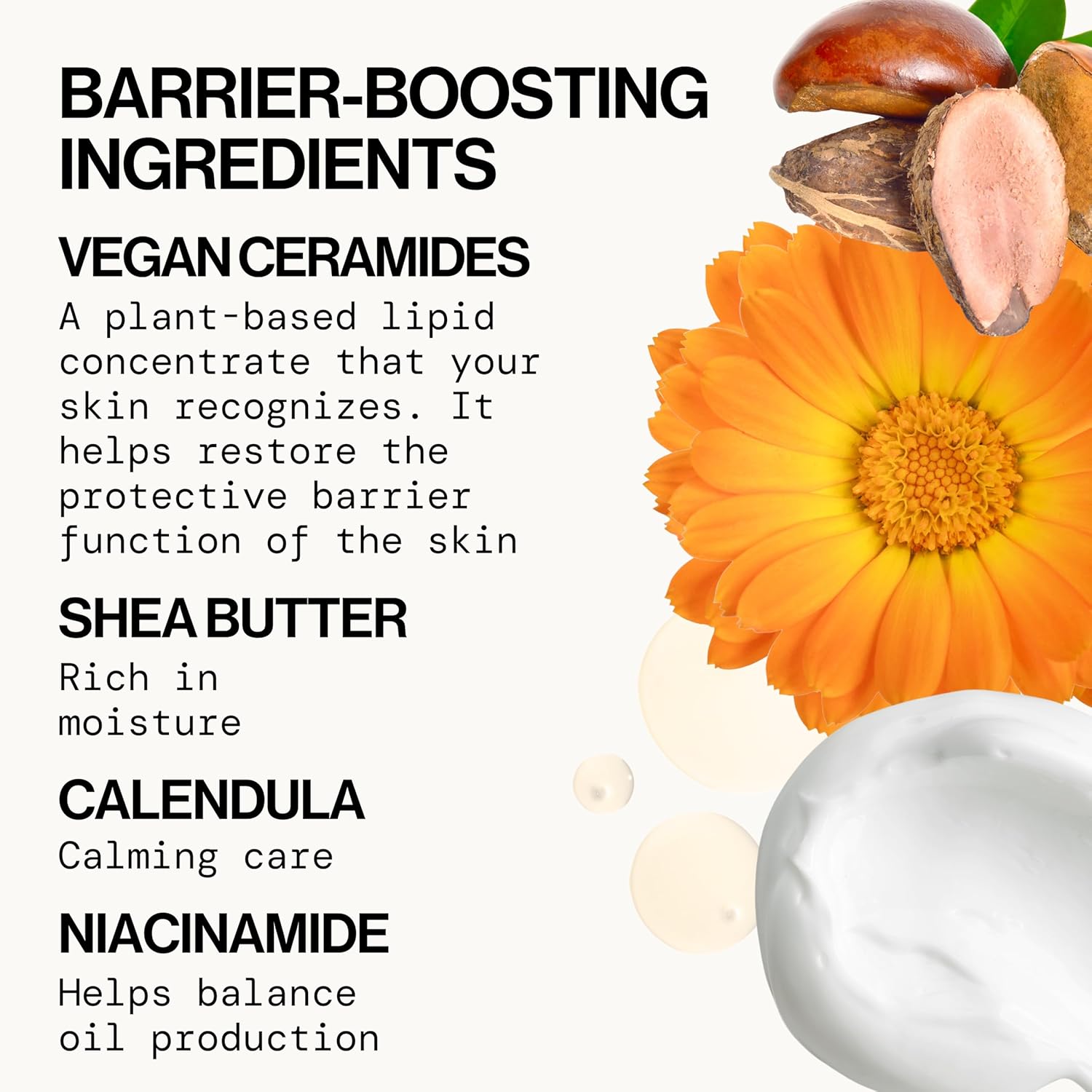 Pacifica Beauty Ceramide Barrier Repair Daily Facial Moisturizing Cream