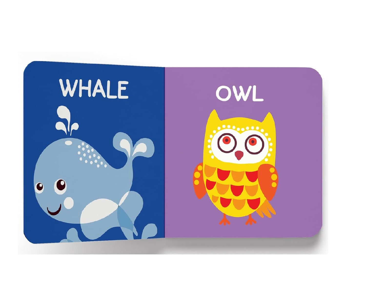 my first early learning  (Mini Board Books) (Set of 5 Books)