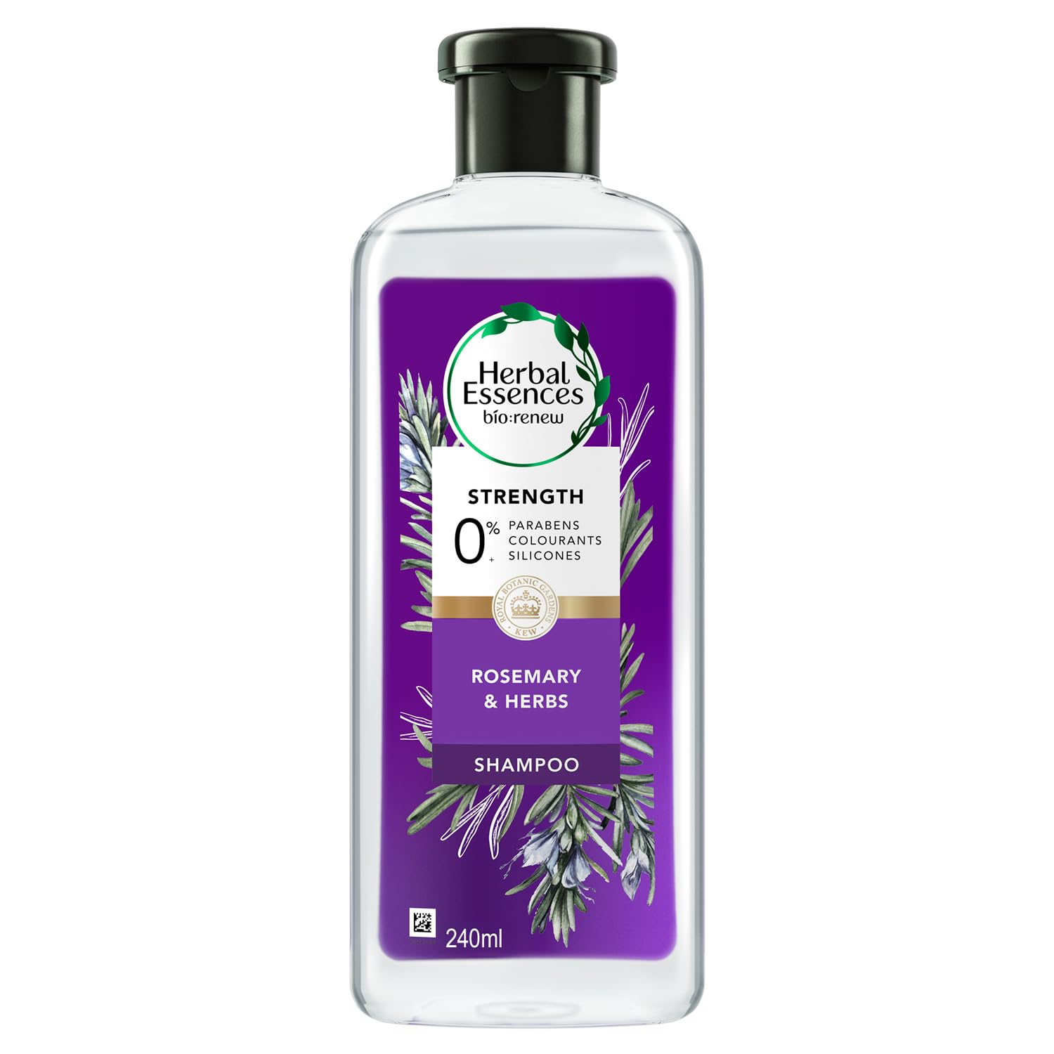 Herbal Essences bio:renew Rosemary and Herbs SHAMPOO, 240ml, No Parabens No Colorants