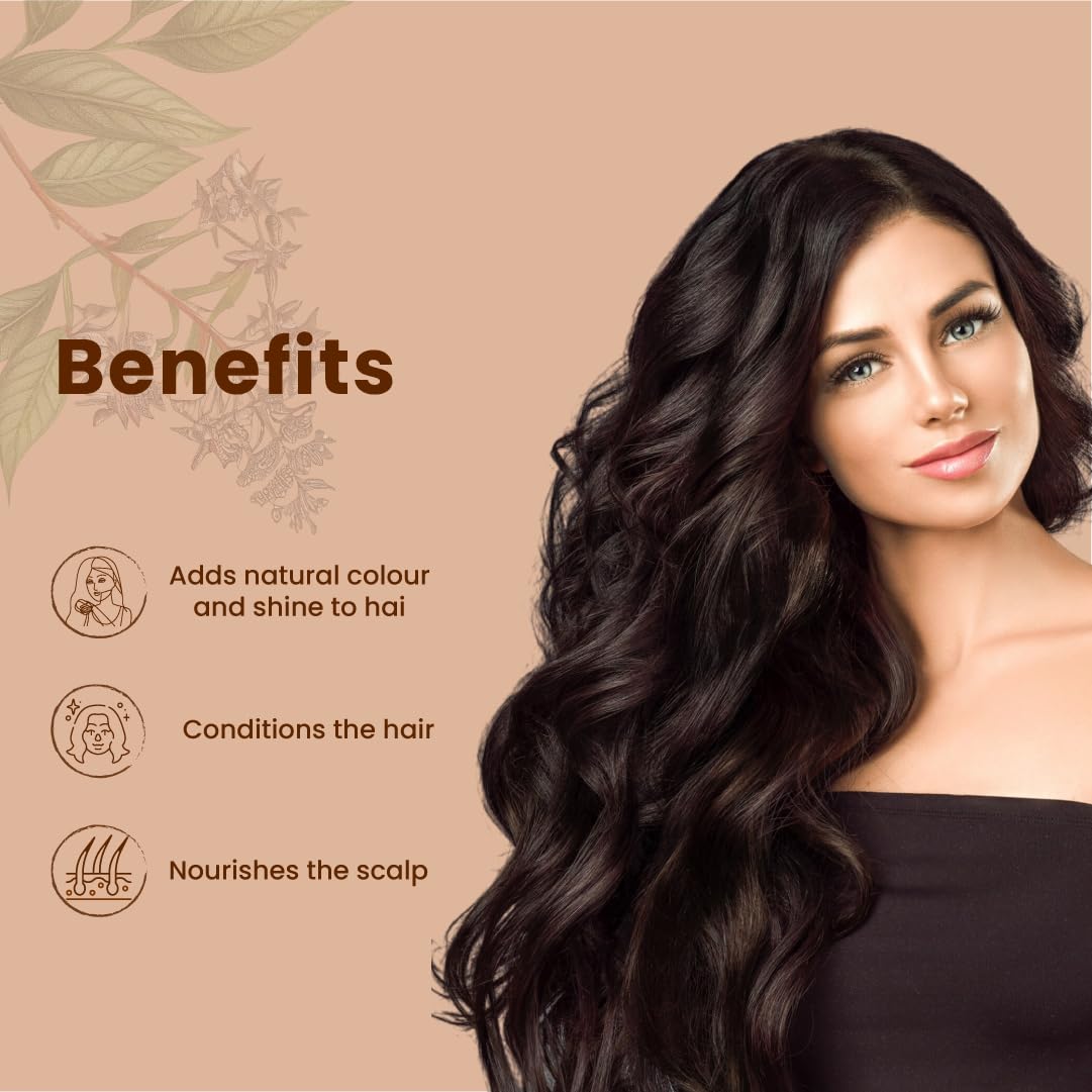 Just Jaivik Organic USDA Certified Henna Powder For Hair Certified by OneCert Asia for USDA Organic Standard 227 Gms / 0.5 LB/ 8 Oz, Natural, No chemical or additive