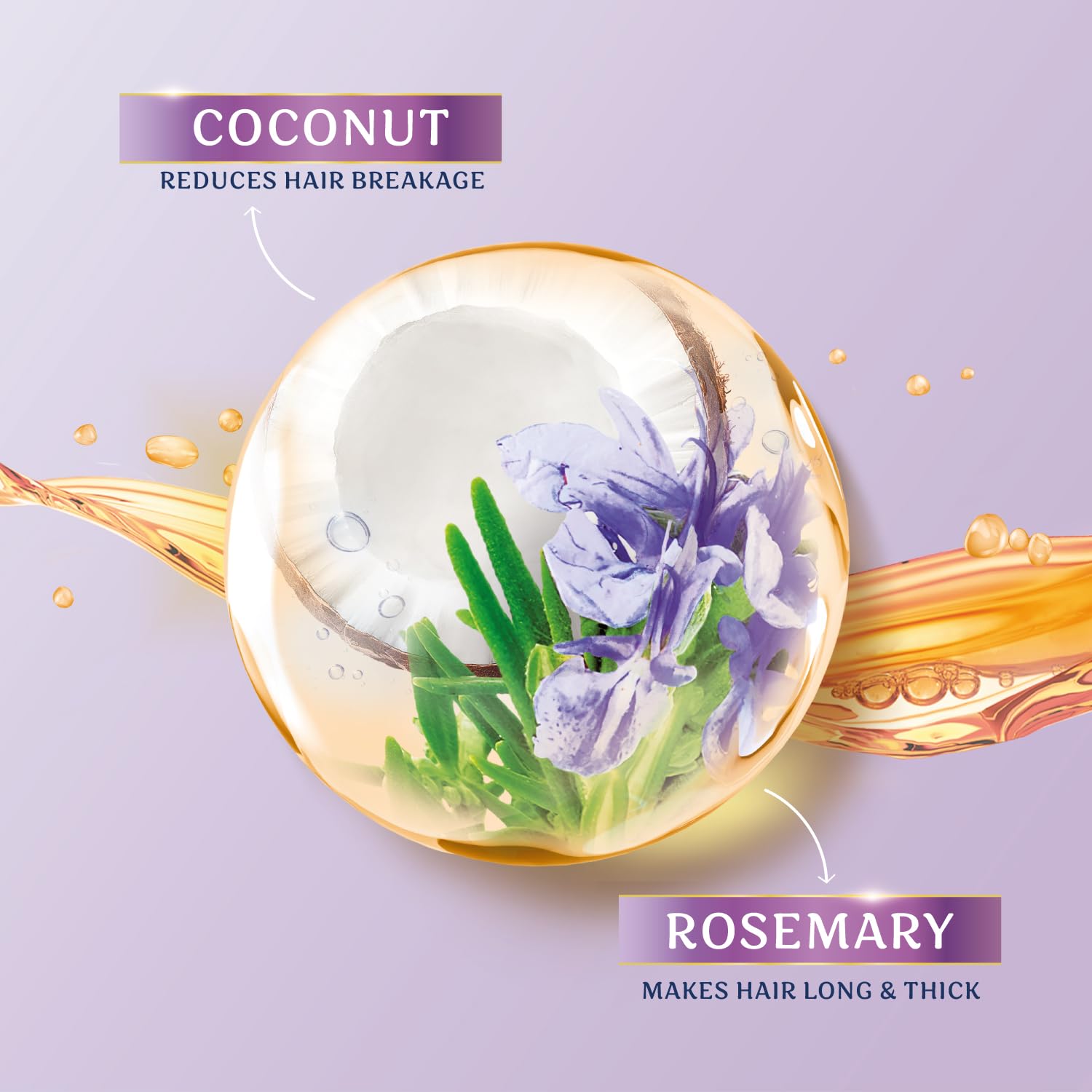 Parachute Advansed Rosemary-enriched Coconut Hair Oil| Rosemary Hair Oil| Superfoods Magic| Long & Thick Hair|300 Ml