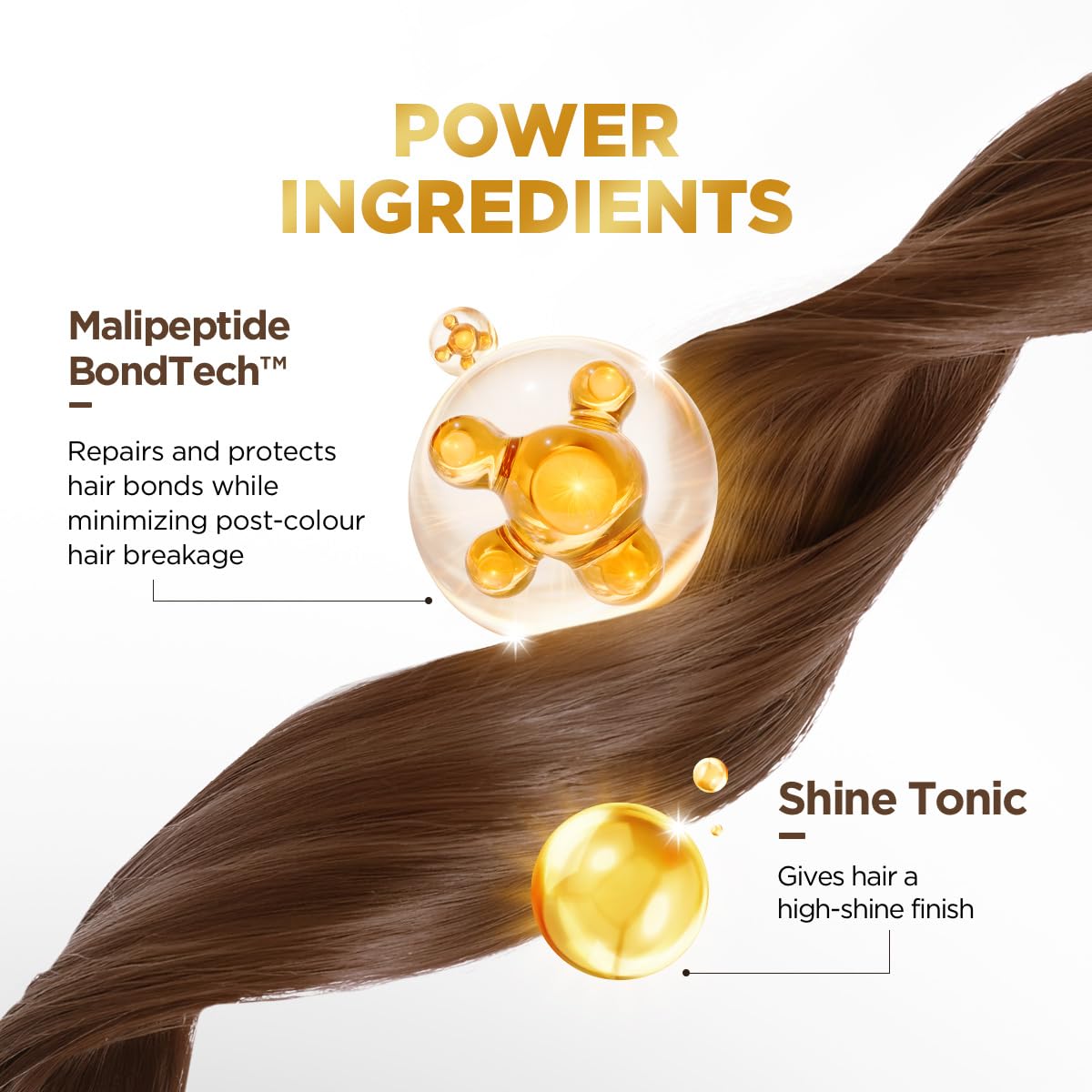 BBLUNT Salon Secret High Shine Conditioning Hair Colour With MaliPeptide BondTech™ to reduce breakage | Coffee Natural Brown 4.31 | No Ammonia 100%, Grey Coverage | Long Lasting Colour | Salon at home