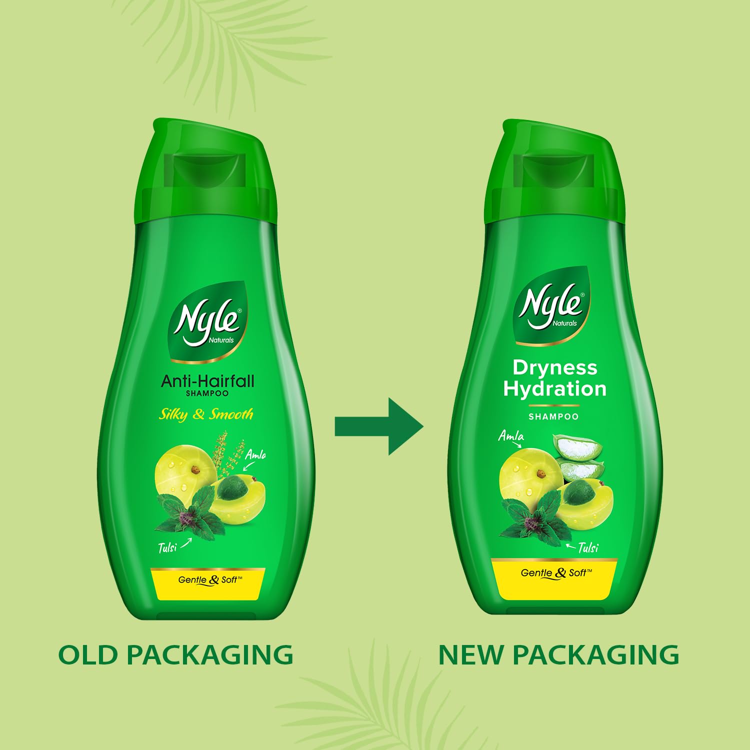 Nyle Naturals Dryness Hydration Shampoo, with Tulsi, Amla and Aloe Vera, Gentle & Soft Shampoo, pH Balanced and Paraben Free, 180ml