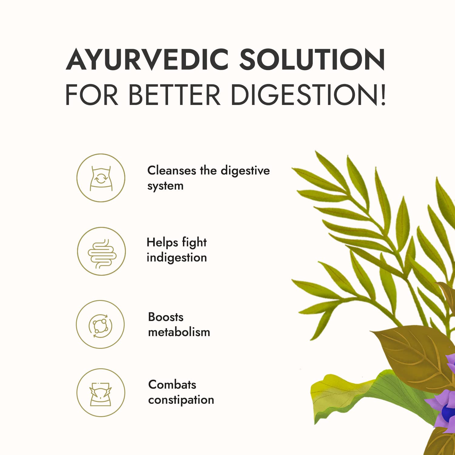 Kapiva Aloe Vera + Moringa Juice (1L)