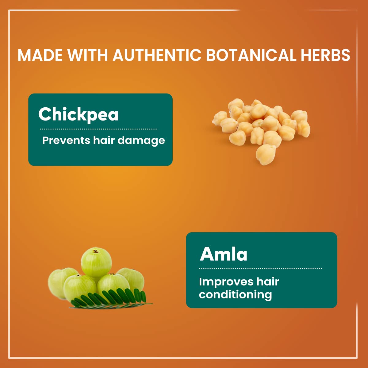 Himalaya Protein Hair Cream | Controls Hair Damage & Improves Hair Conditioning | Non Sticky Oil Replacement Hair Cream| With Chickpea & Amla | For Women & Men | 200ml