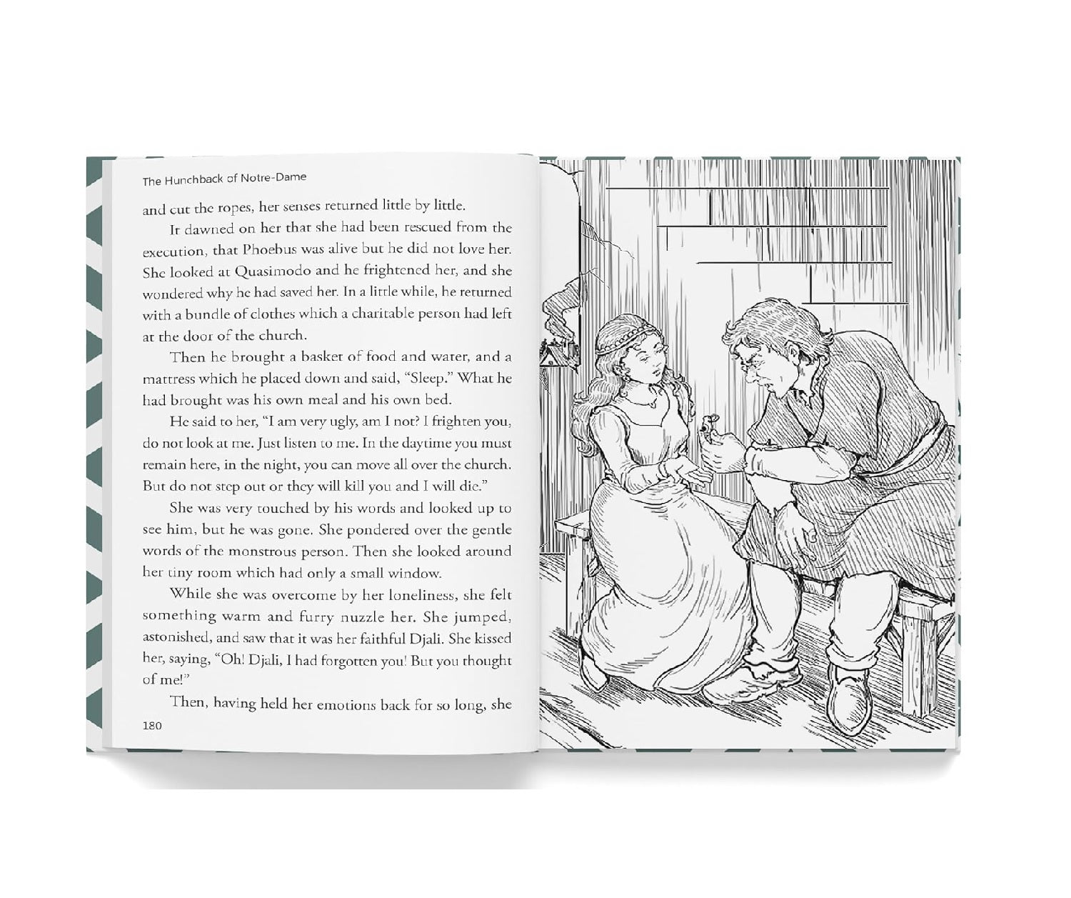 The Hunchback of Notre-Dame for Kids : Illustrated Abridged Children Classic English Novel with Review Questions Hardcover  Book