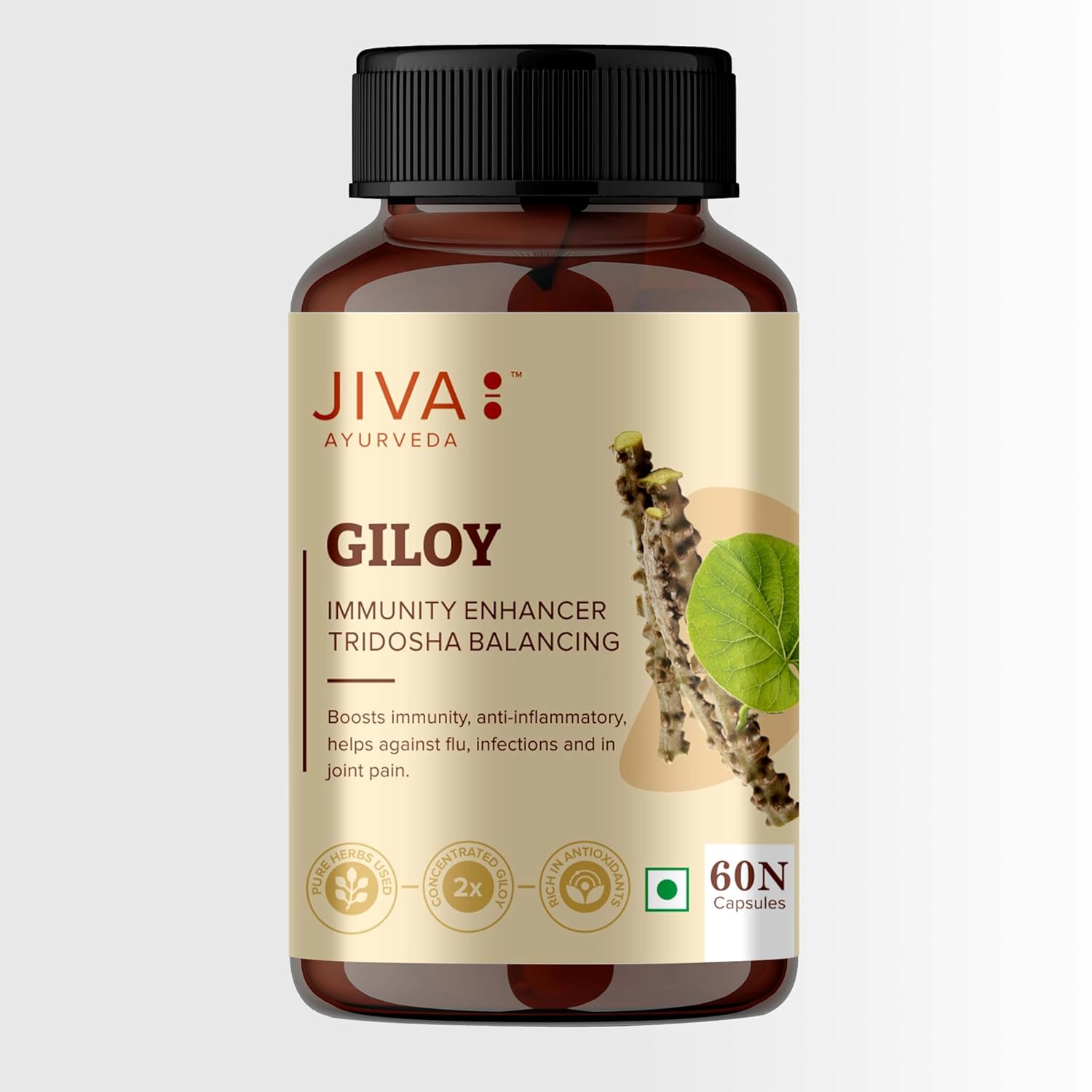 Jiva Ayurveda Giloy (60 capsule) For immunity, respiratory problems, cough, cold, tonsils and asthmatic condition