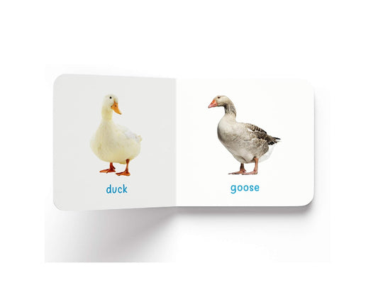 My First Book of Farm Animals & Pets |  Hardcover