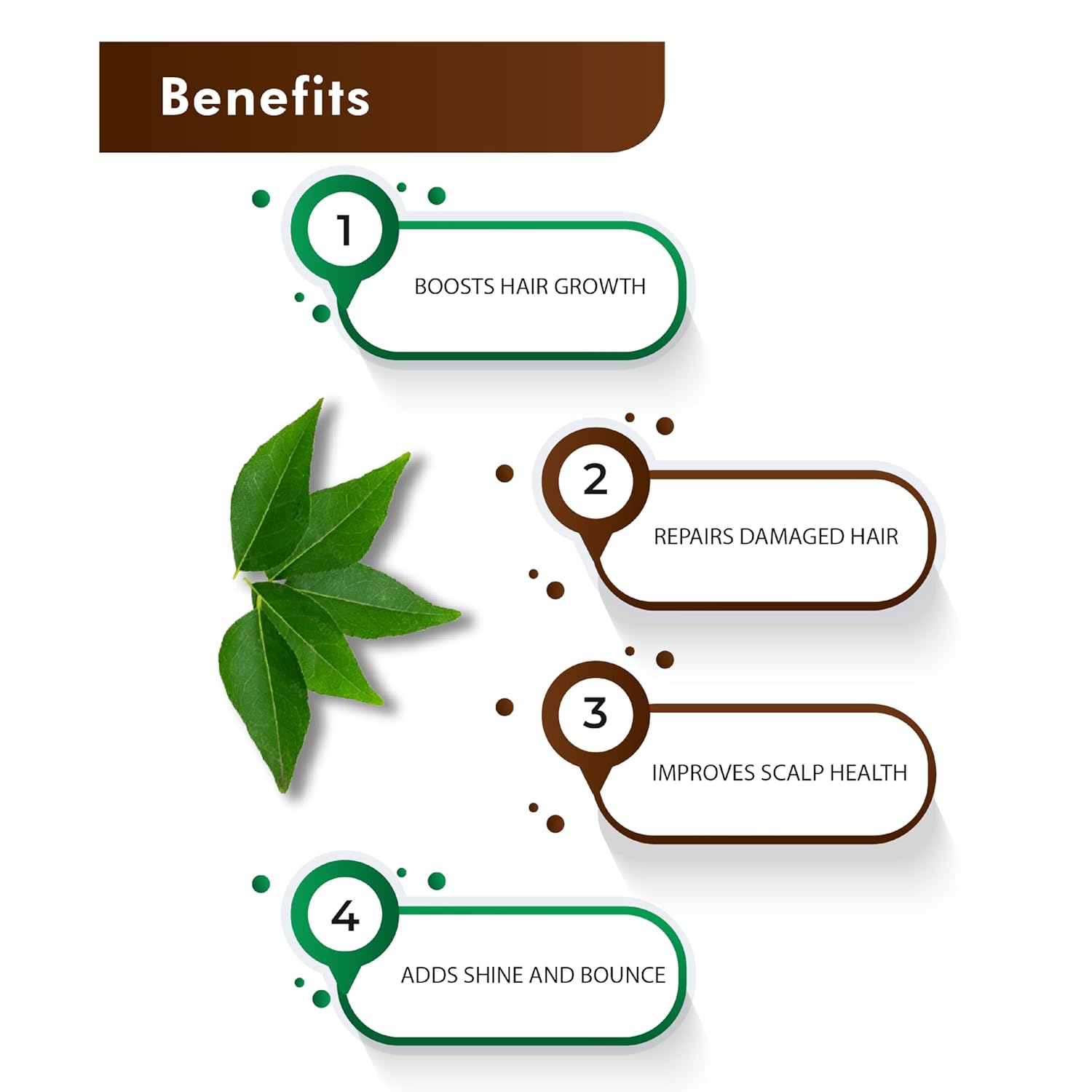 H&C Herbal Ingredients Expert Natural Curry Leaves(Kadi Patta) Powder (Sun Dried & Stemless) 227g for Strong and Shiny Hair