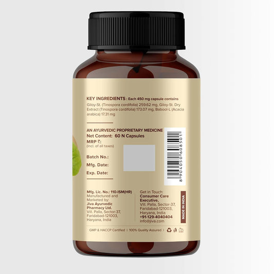 Jiva Ayurveda Giloy (60 capsule) For immunity, respiratory problems, cough, cold, tonsils and asthmatic condition