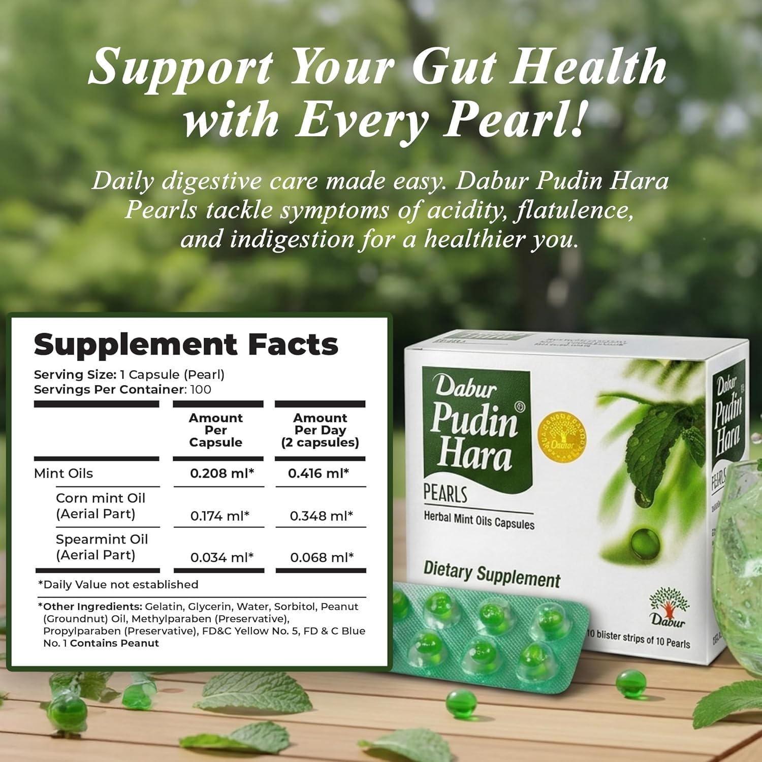 Dabur Pudin Hara Pearls for Gas, Acidity, Indigestion 100 Tablet pack of 10