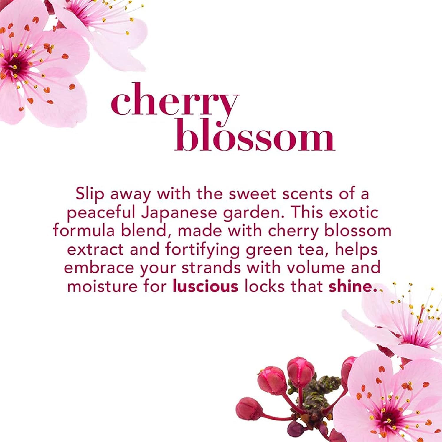 OGX Heavenly Hydration Cherry Blossom Shampoo 385ml