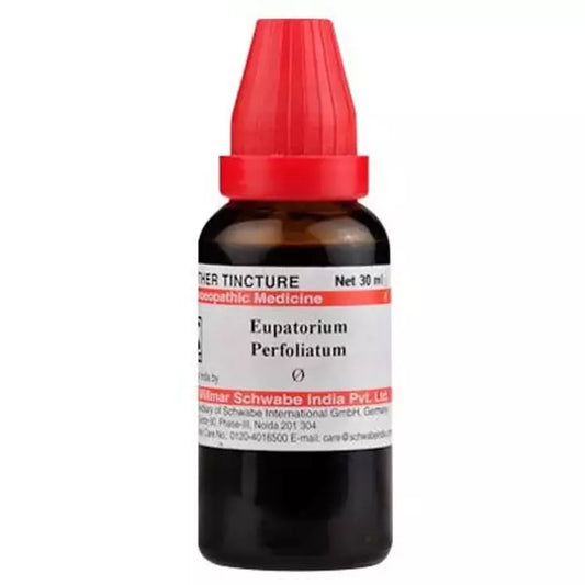 Dr Willmar Schwabe India Eupatorium Perfoliatum Mother Tincture 1X (Q) (30ml) for headaches vertigo gout vomiting