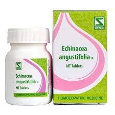 Dr Willmar Schwabe India Homoeopathic Echinacea Angustifolia 1X MT Tablets for cold & cough immune system