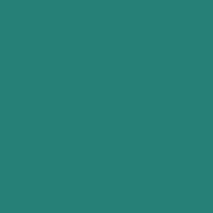 Swiss Beauty Color SPLASH Nail Polish, Shade- 17, 11ml