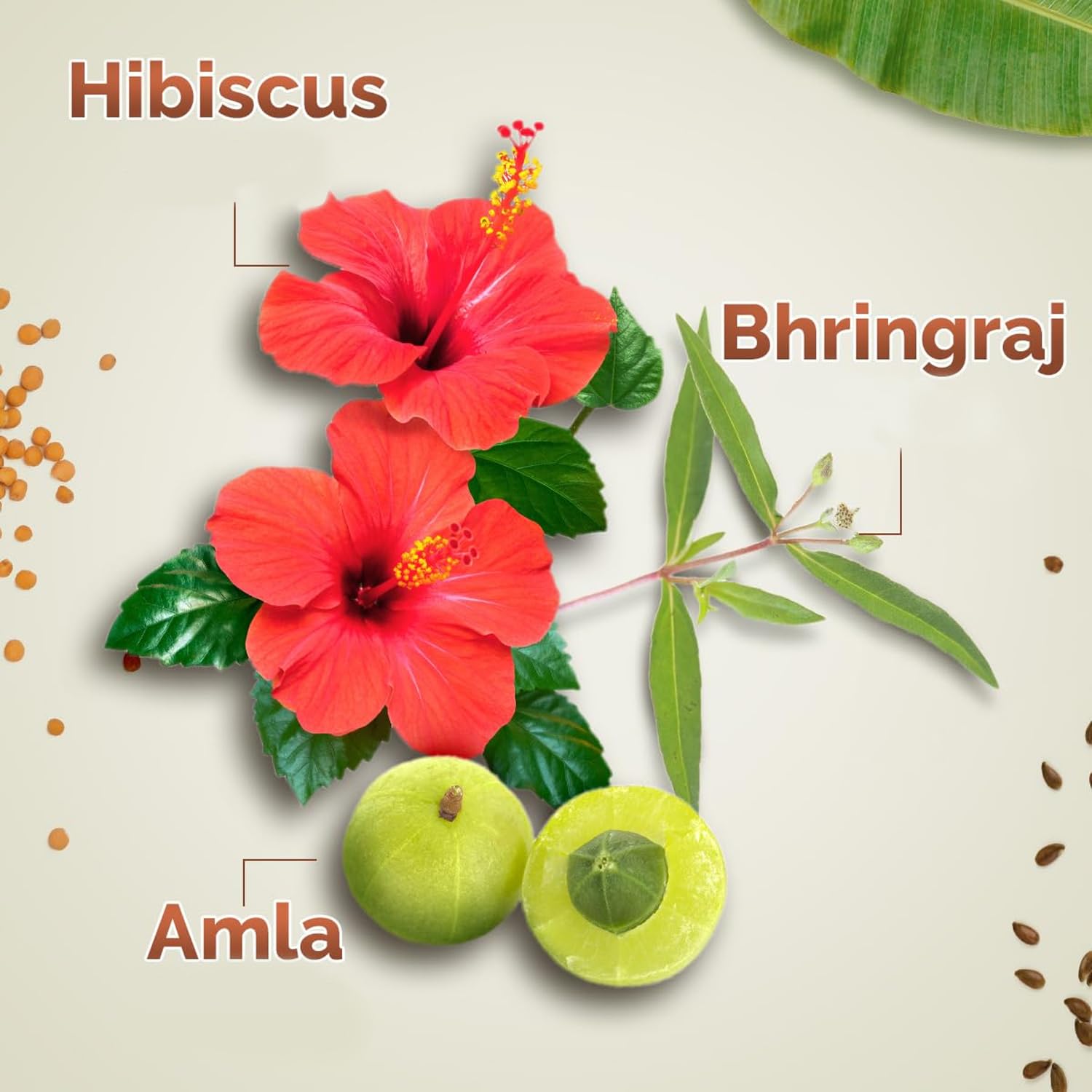 Mamaearth Kerala Thaali Hair Oil - 150 ml