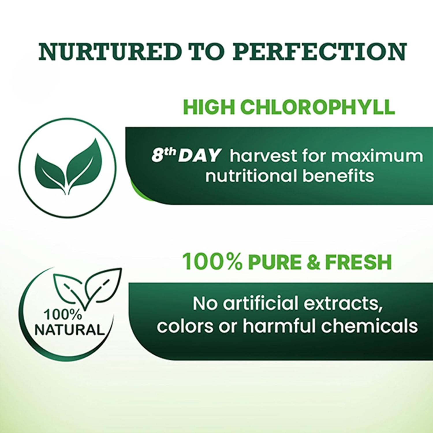 Vansaar Wheatgrass Juice | Natural Liver detox & Gut cleanser Juice | Superfood for Weight & Cholesterol management | 100% Ayurvedic - 500 ml (Pack of 2)