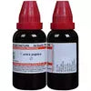 Dr Willmar Schwabe India Carica papaya Mother Tincture 1X (Q) (30ml) for urinary disorders indigestion