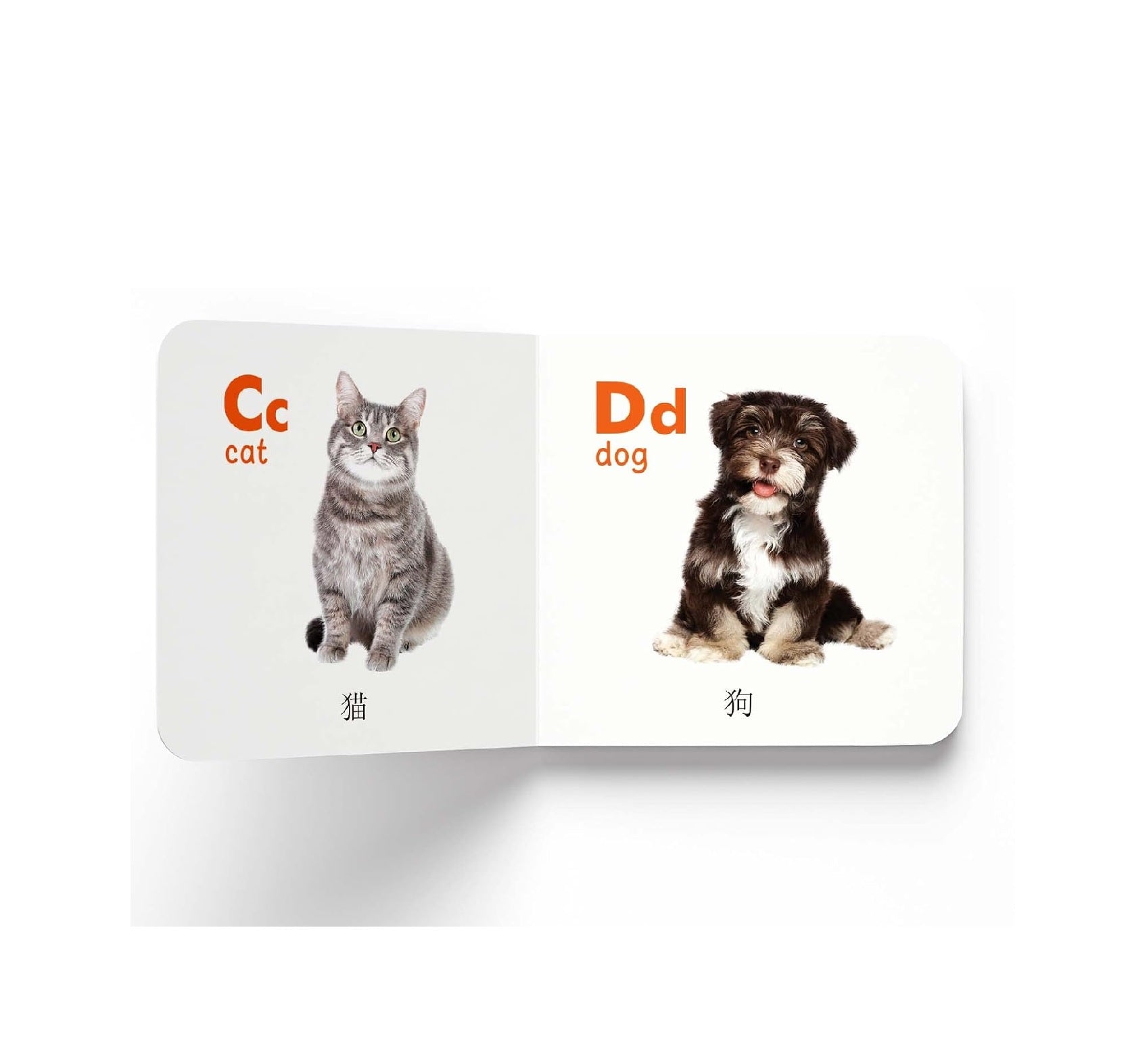 My First English-Chinese Learning Library : Bilingual Boxset of 10 Picture Board Books for Kids Board book