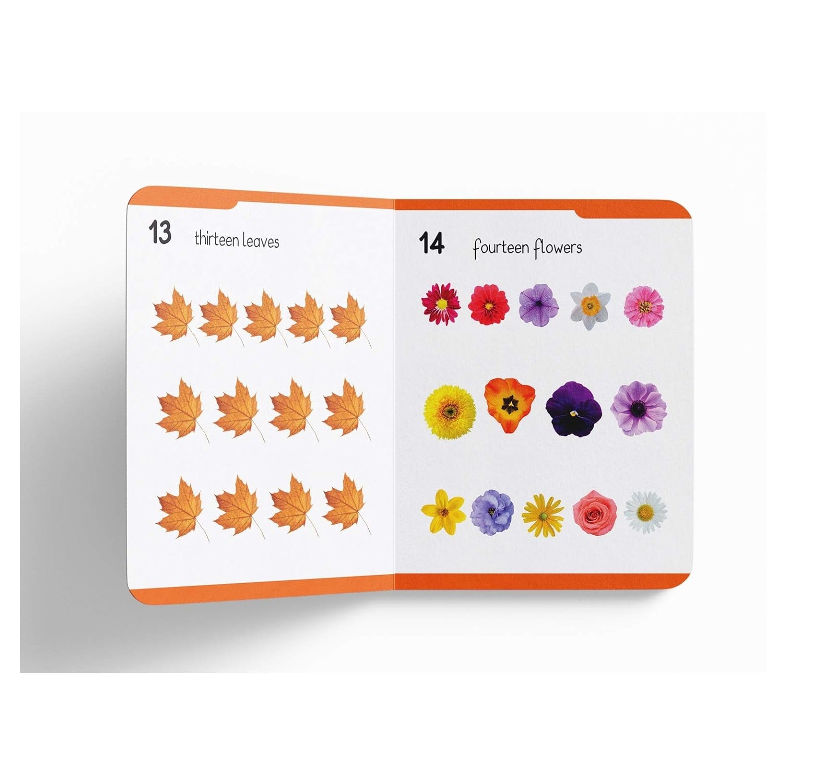 My First Padded Book of Numbers: Early Learning Board Book for Kids | Durable Padded Board Book | Hardcover