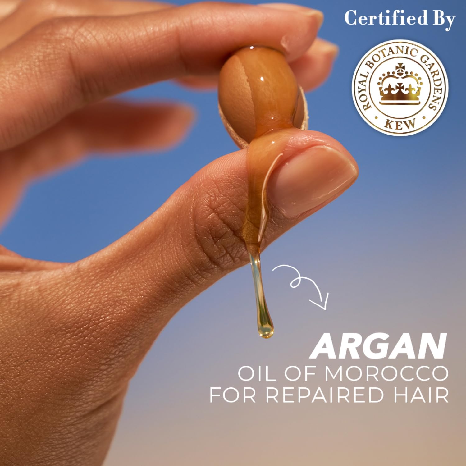 Herbal Essences bio:renew Argan Oil of Morocco SHAMPOO, 400ml, No Parabens No Colourants and Herbal Essences, Argan Oil Hair Mask, 237ml