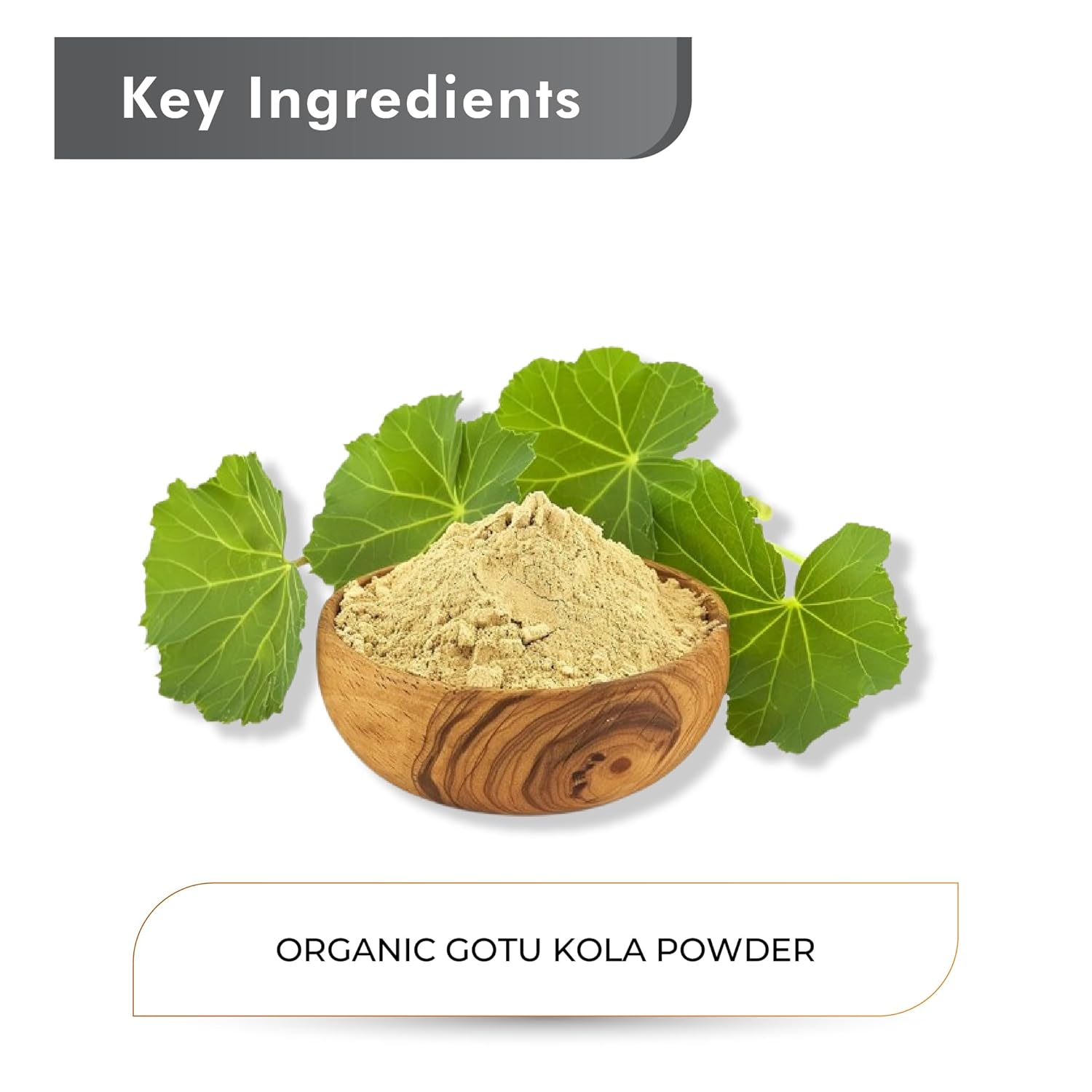 Just Jaivik Organic Gotu Kola Powder, 1/2 Pound - 227g USDA Organic - Centella Asiatica - Ayurvedic Herb for The Brain & Nervous System Also Known as Mandupakarni and Brahmi Powder