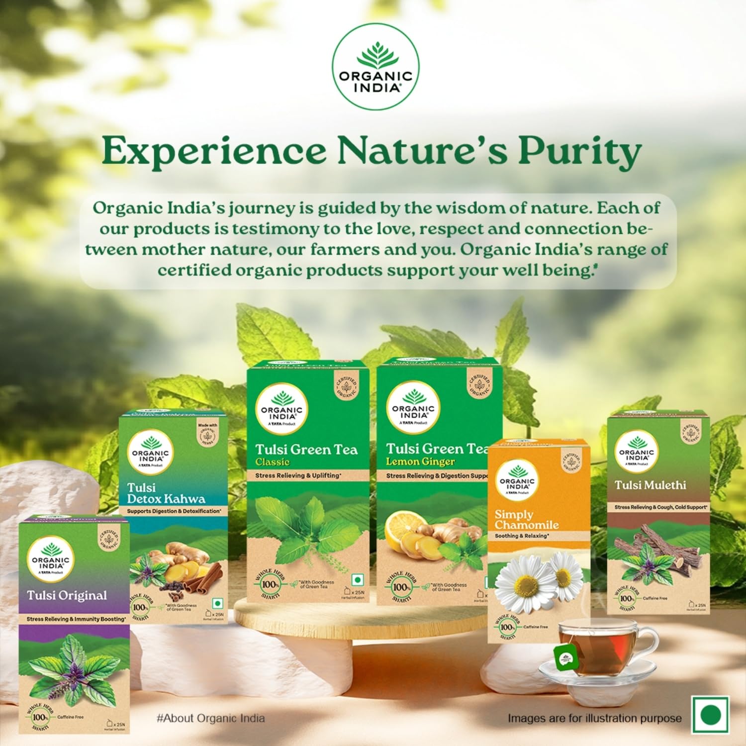 A TATA Product - Organic India Tulsi Ginger Turmeric - 25 Tea Bags