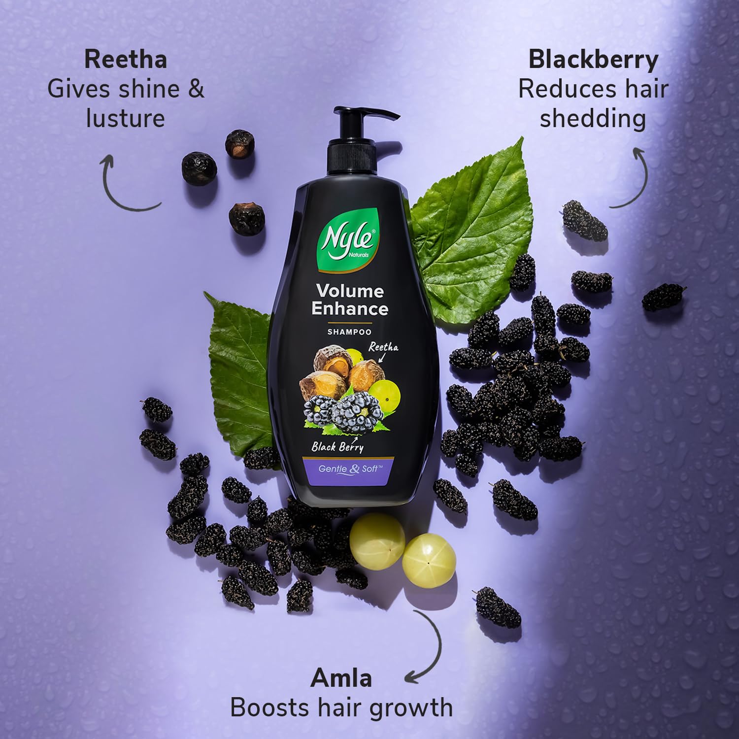 Nyle Naturals Volume Enhance Anti Hairfall Shampoo, With Reetha And Blackberry, Gentle and soft shampoo, PH balanced and Paraben free, 800ml