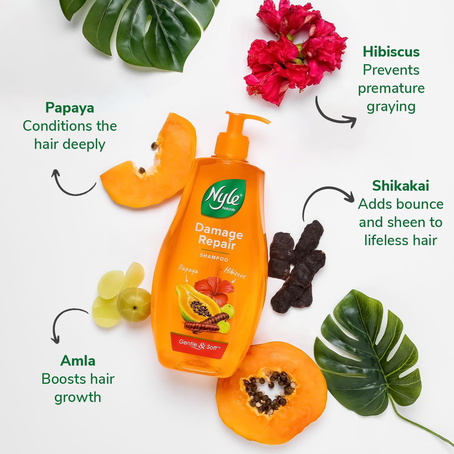 Nyle Naturals Damage Repair Anti Hairfall Shampoo, With Shikakai And Hibiscus, Gentle And Soft Shampoo, Ph Balanced And Paraben Free, For Men And Women,800Ml