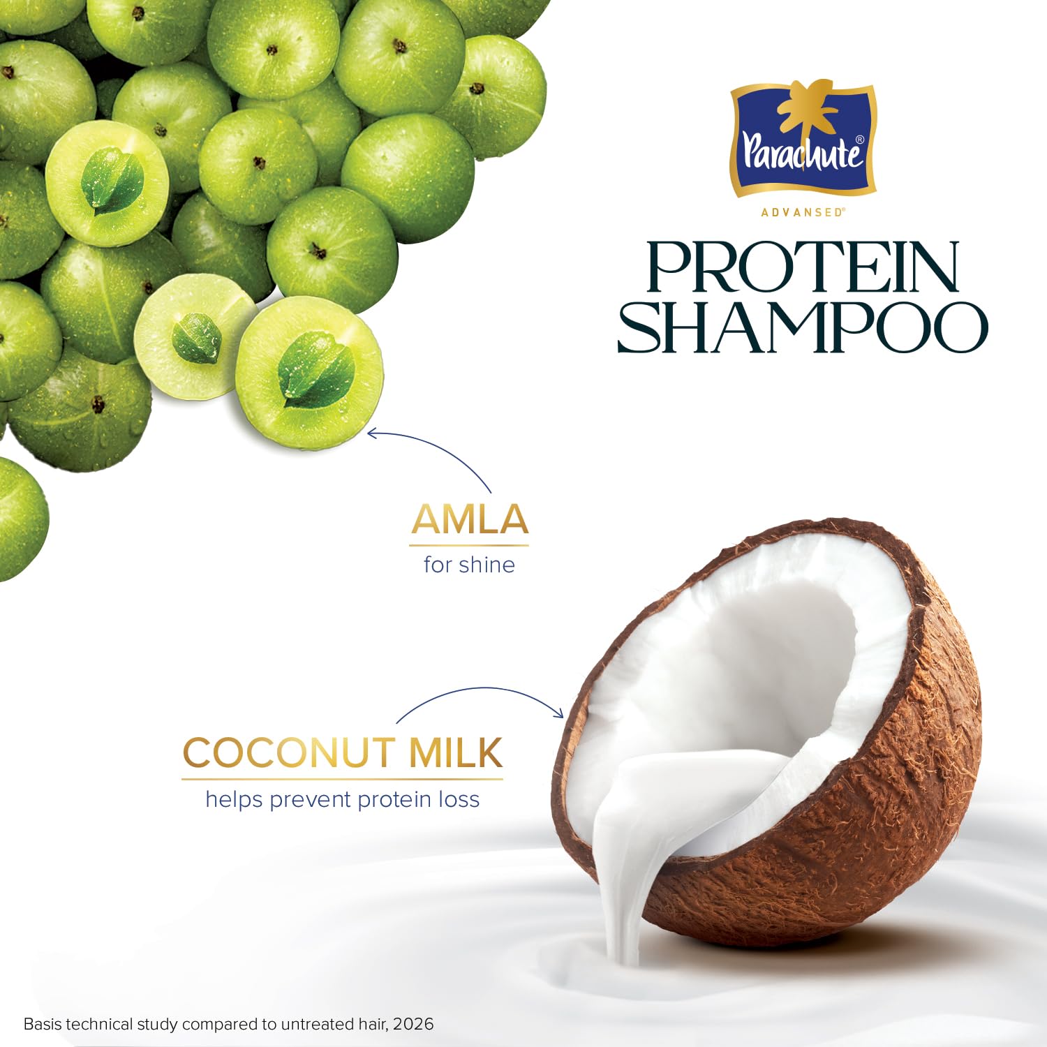 Parachute Advansed Protein Shampoo with Coconut Milk & Amla | Up to 48 hr Shine | Ultra Shine | Protein Lock Technology | Paraben free | For Men & Women | 650ml
