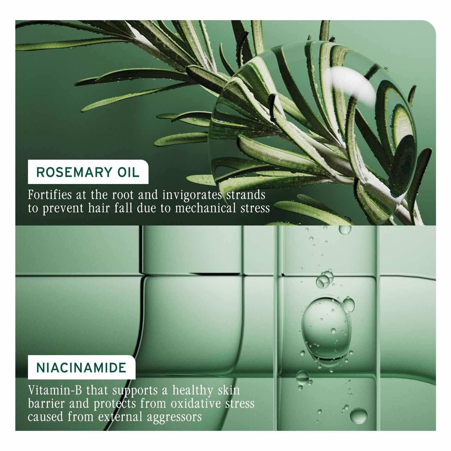 Biolage Full Rescue Professional Conditioner, 74% less breakage & Reduces Hairfall, With Rosemary Oil & Niacinamide I For all hair types I For Women & Men | Vegan & Cruelty-Free