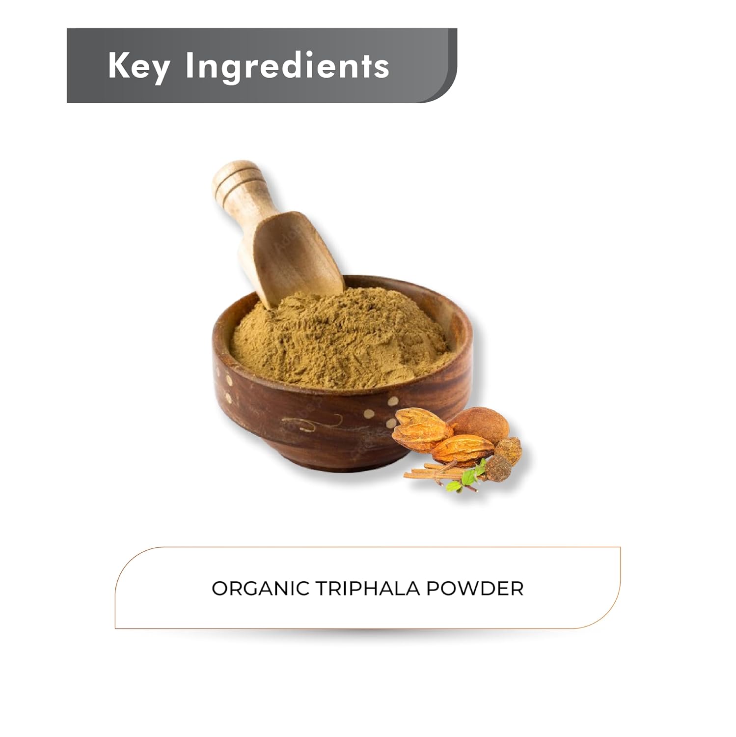 Just Jaivik Organic Triphala Powder/Churna 227 Gm Dietary Supplement | Bowel Wellness & Gut Health, Natural Gas & Constipation Relief, Supporting Your Immune System | Non- GMO, No Added Preservatives & Fillers