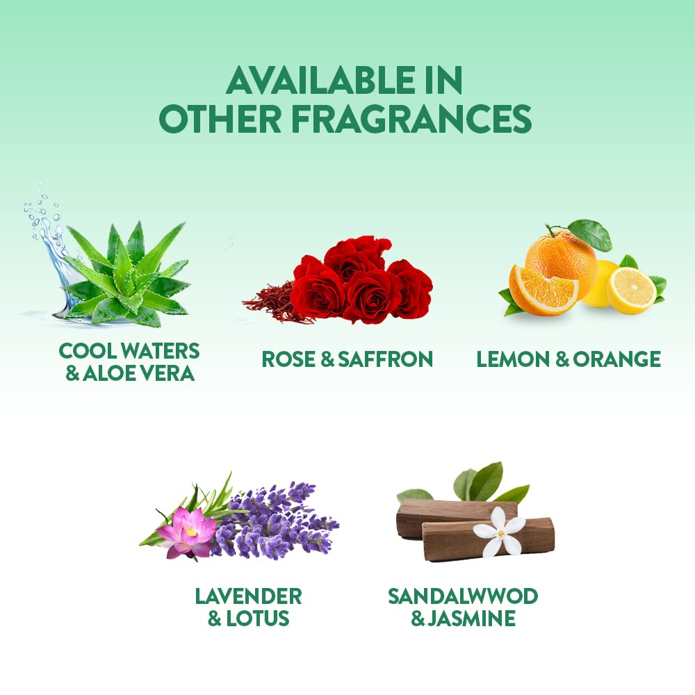 Air Wick - 245 ml - Rose & Saffron, Room Air Freshener Spray