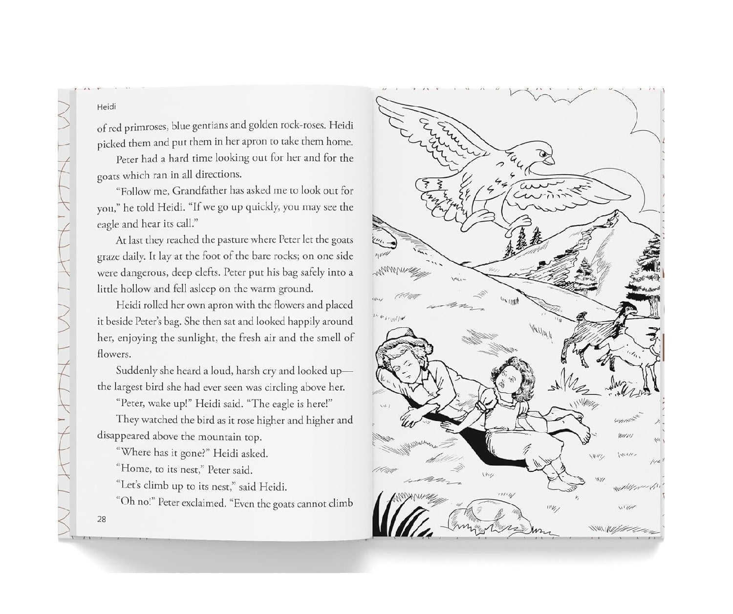Heidi : Illustrated Abridged Children Classics English Novel with Review Questions Hardcover Book