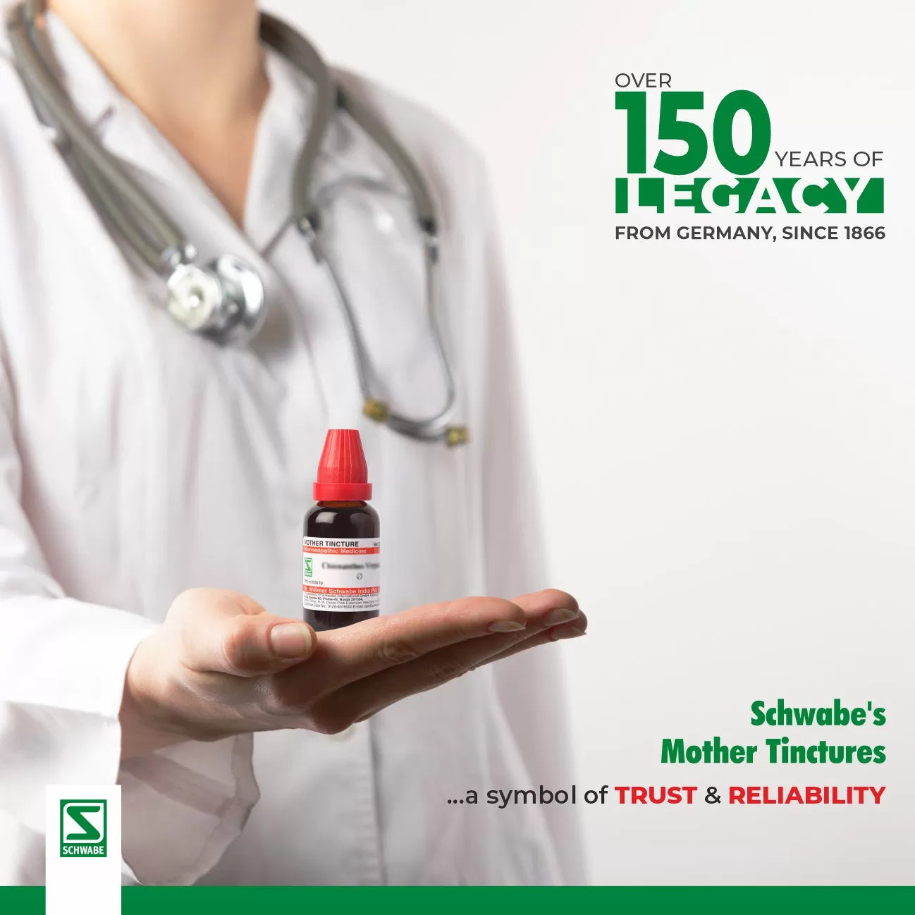 Dr Willmar Schwabe India Cardiospermum Halicacabum Mother Tincture 1X (Q) (30ml) for headache skin disorders constipation