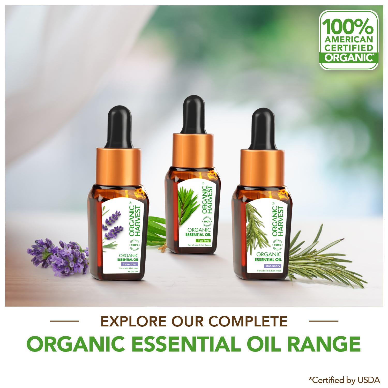 Organic Harvest Tea Tree Essential Oil, Pure & Undiluted Therapeutic Grade Oil, Excellent for Aromatherapy, 100% American Certified Organic, Paraben & Sulphate Free - 10ml