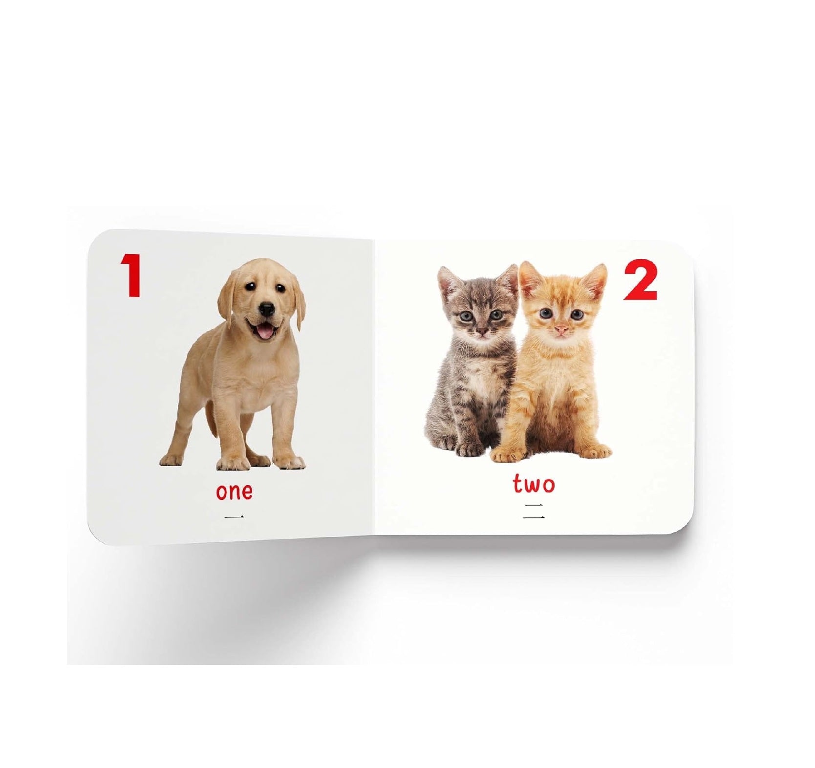 My First English-Chinese Learning Library : Bilingual Boxset of 10 Picture Board Books for Kids Board book