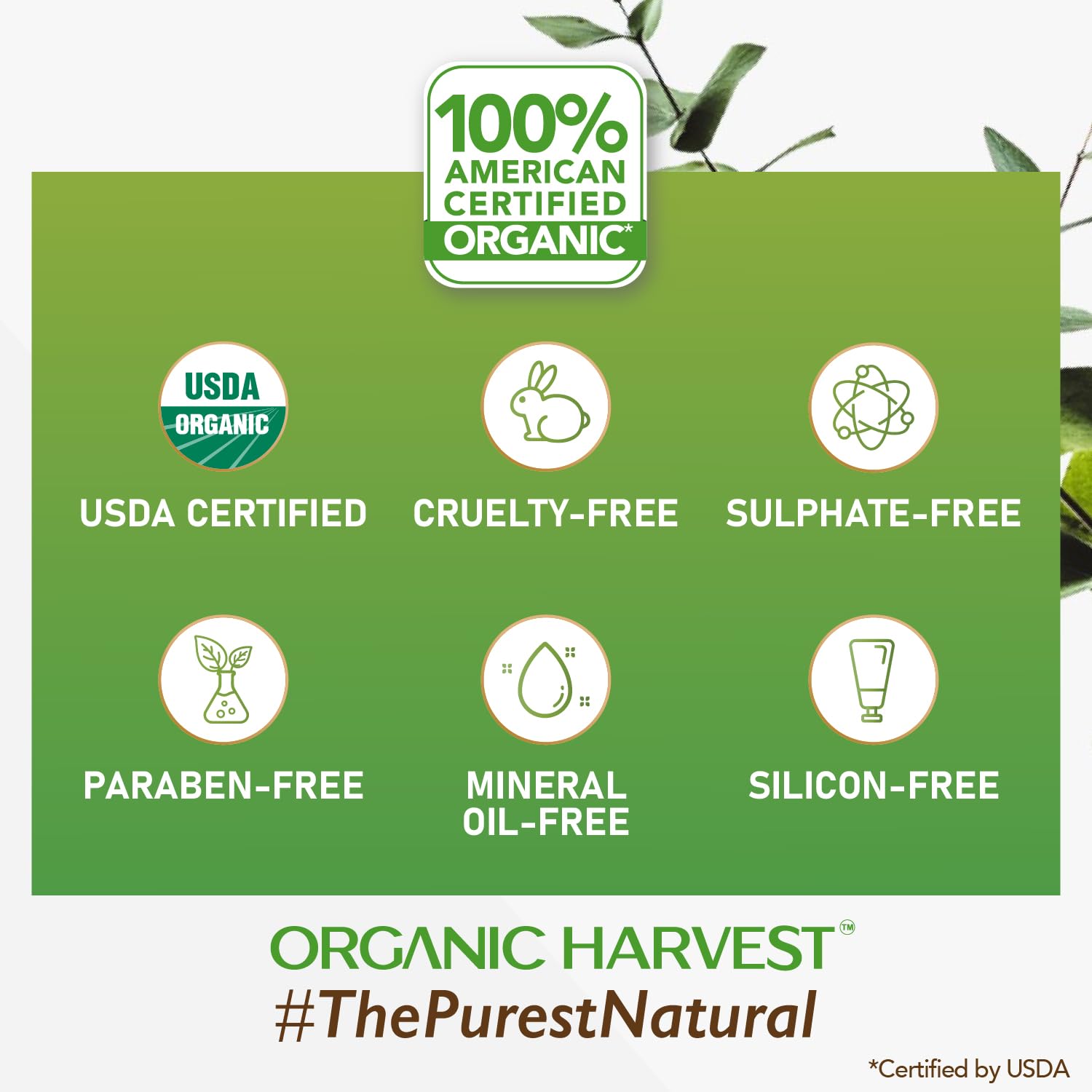 Organic Harvest Daily Day Cream for Women, Girls, Men | Helps in Nourishing, Moisturising & Glowing the Skin | Cream for Oily Skin | Anti-Pollution with SPF 30 | Paraben & Sulphate Free - 15gm